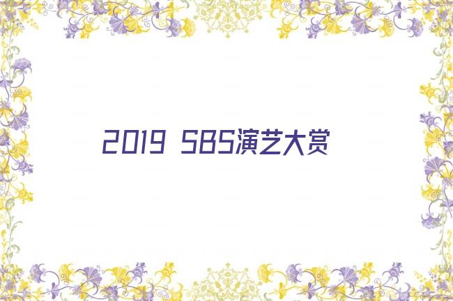 2019 SBS演艺大赏剧照